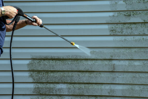 Best Pressure Washing Services Near Me  in Crandon, WI