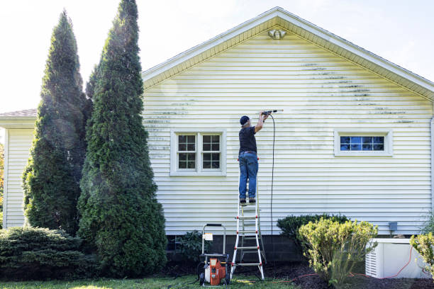 Best Pressure Washing Driveway  in Crandon, WI